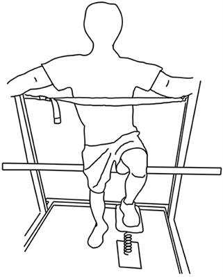 Unilateral Eccentric Contraction of the Plantarflexors Leads to Bilateral Alterations in Leg Dexterity